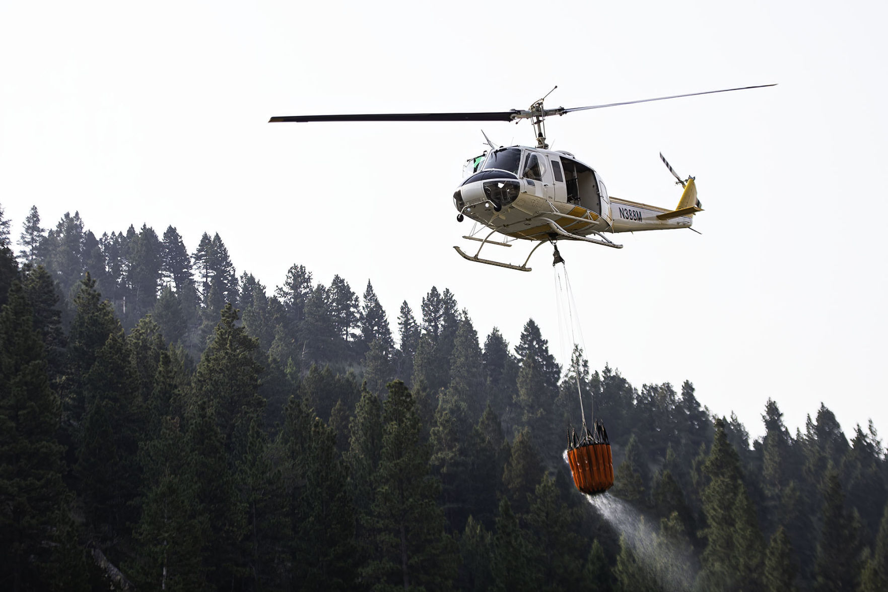 Grizzly Gulch Fire